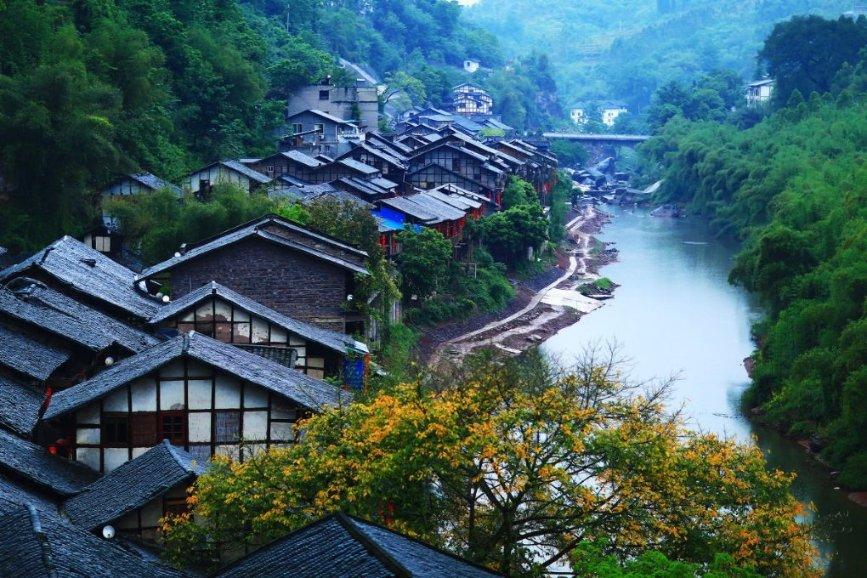 用鱼组成一个字与花组成词